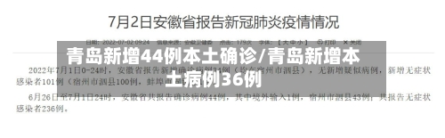 青岛新增44例本土确诊/青岛新增本土病例36例-第2张图片
