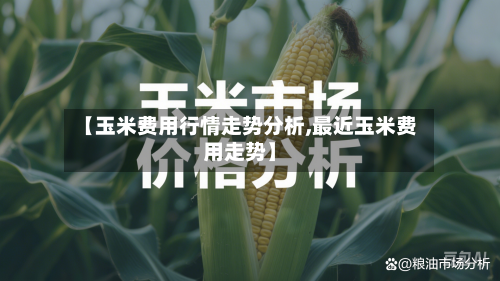 【玉米费用行情走势分析,最近玉米费用走势】-第2张图片