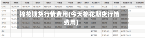 棉花期货行情费用(今天棉花期货行情费用)