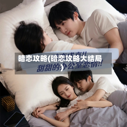 暗恋攻略(暗恋攻略大结局)