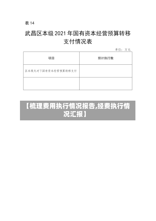 【梳理费用执行情况报告,经费执行情况汇报】