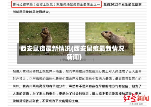 西安鼠疫最新情况(西安鼠疫最新情况新闻)-第3张图片