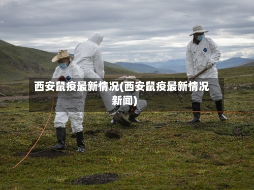 西安鼠疫最新情况(西安鼠疫最新情况新闻)-第2张图片