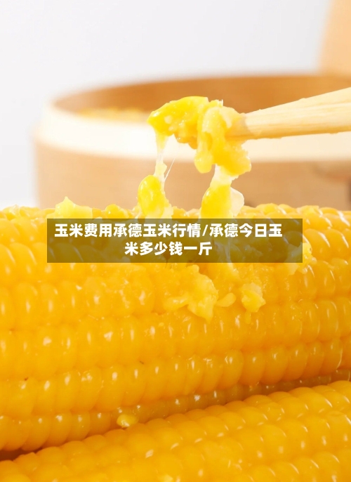 玉米费用承德玉米行情/承德今日玉米多少钱一斤-第1张图片