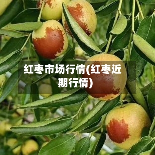 红枣市场行情(红枣近期行情)-第2张图片