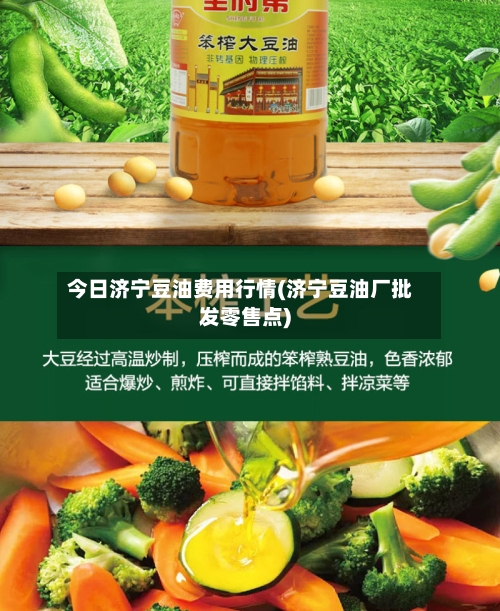 今日济宁豆油费用行情(济宁豆油厂批发零售点)