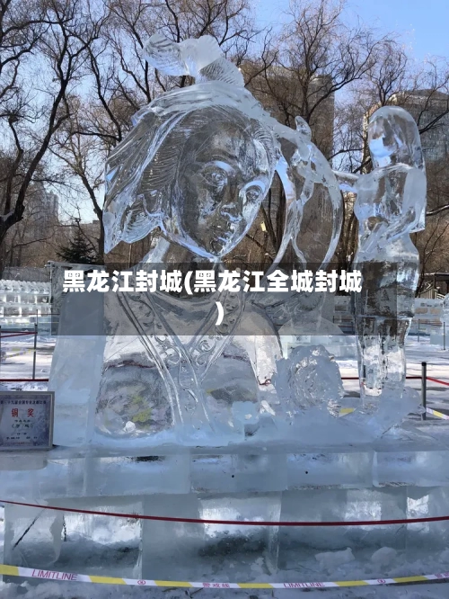 黑龙江封城(黑龙江全城封城)