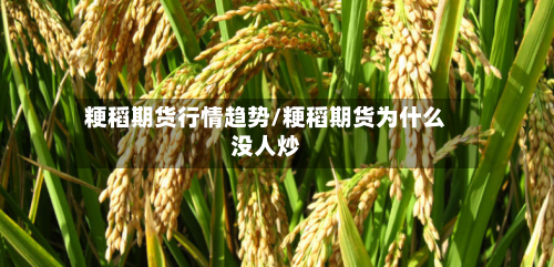 粳稻期货行情趋势/粳稻期货为什么没人炒-第2张图片