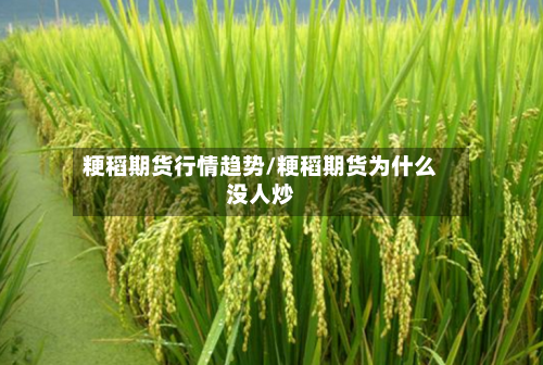 粳稻期货行情趋势/粳稻期货为什么没人炒