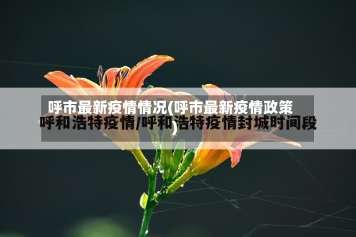 呼市最新疫情情况(呼市最新疫情政策)-第2张图片