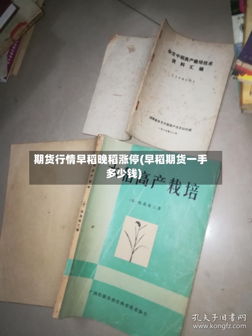 期货行情早稻晚稻涨停(早稻期货一手多少钱)