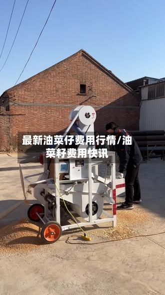 最新油菜仔费用行情/油菜籽费用快讯-第2张图片