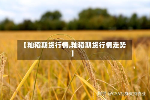 【籼稻期货行情,籼稻期货行情走势】