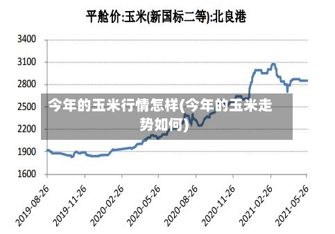 今年的玉米行情怎样(今年的玉米走势如何)-第2张图片