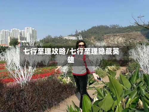 七行至理攻略/七行至理隐藏英雄