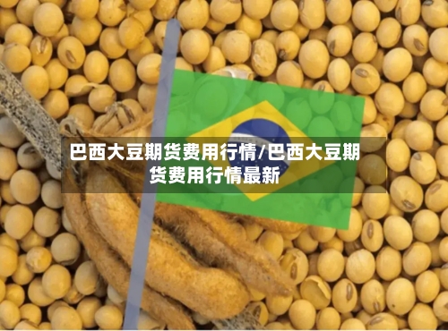 巴西大豆期货费用行情/巴西大豆期货费用行情最新-第3张图片