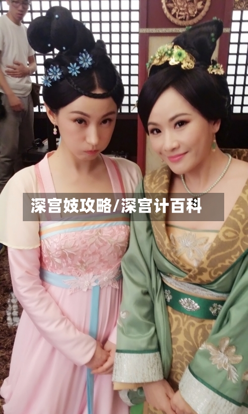 深宫妓攻略/深宫计百科-第3张图片
