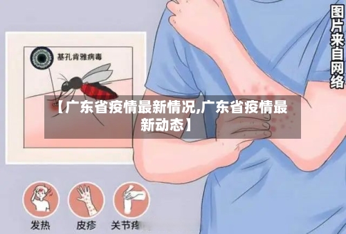 【广东省疫情最新情况,广东省疫情最新动态】-第3张图片