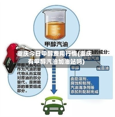 重庆今日甲醇费用行情(重庆有甲醇汽油加油站吗)