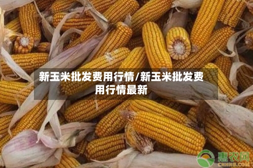 新玉米批发费用行情/新玉米批发费用行情最新