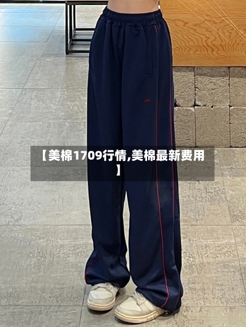 【美棉1709行情,美棉最新费用】