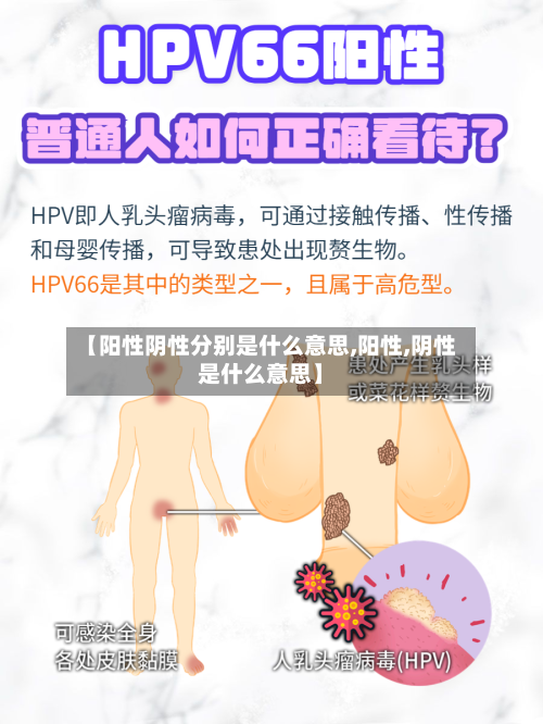 【阳性阴性分别是什么意思,阳性,阴性是什么意思】