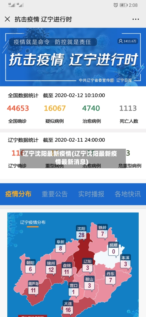 辽宁沈阳最新疫情(辽宁沈阳最新疫情最新消息)
