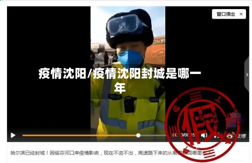 疫情沈阳/疫情沈阳封城是哪一年-第2张图片