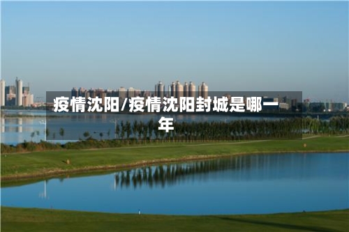 疫情沈阳/疫情沈阳封城是哪一年