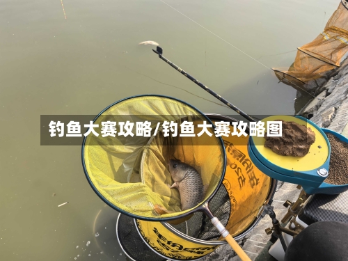 钓鱼大赛攻略/钓鱼大赛攻略图