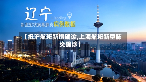 【抵沪航班新增确诊,上海航班新型肺炎确诊】-第3张图片