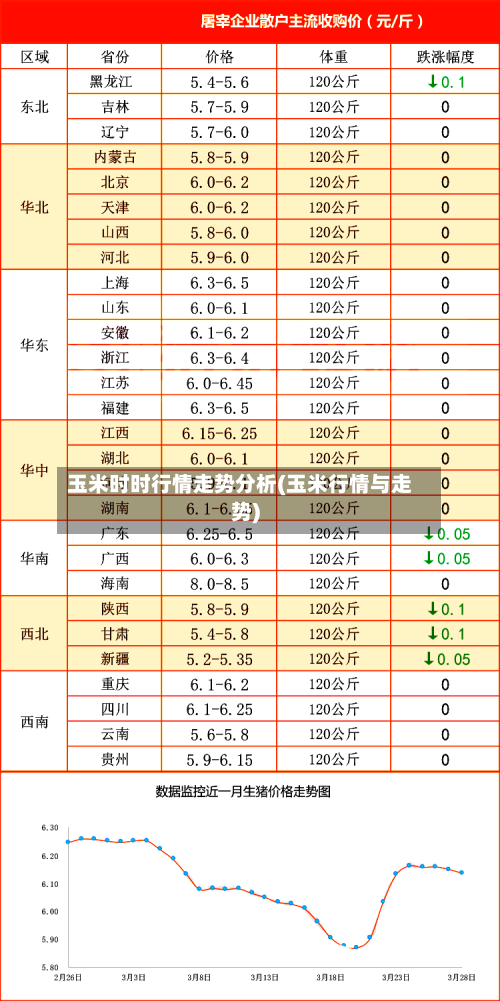 玉米时时行情走势分析(玉米行情与走势)-第2张图片
