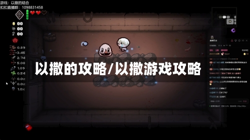 以撒的攻略/以撒游戏攻略