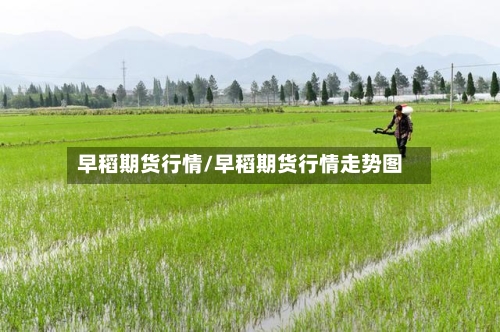 早稻期货行情/早稻期货行情走势图