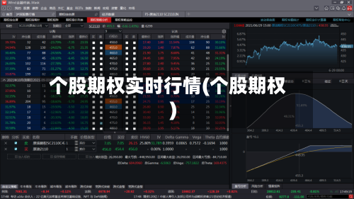 个股期权实时行情(个股期权)