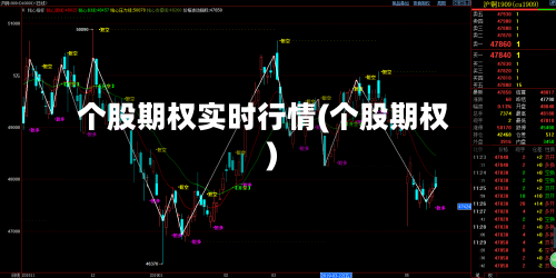 个股期权实时行情(个股期权)-第3张图片