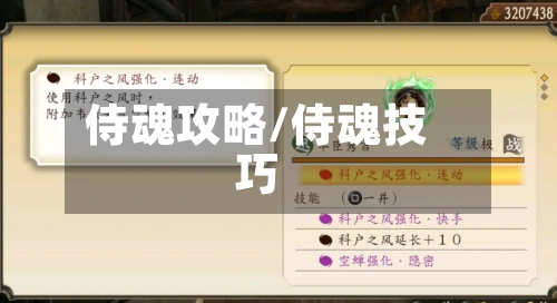 侍魂攻略/侍魂技巧-第2张图片