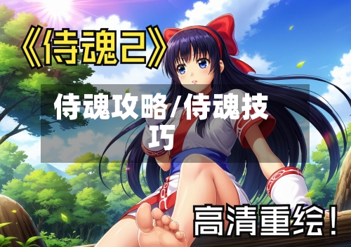 侍魂攻略/侍魂技巧