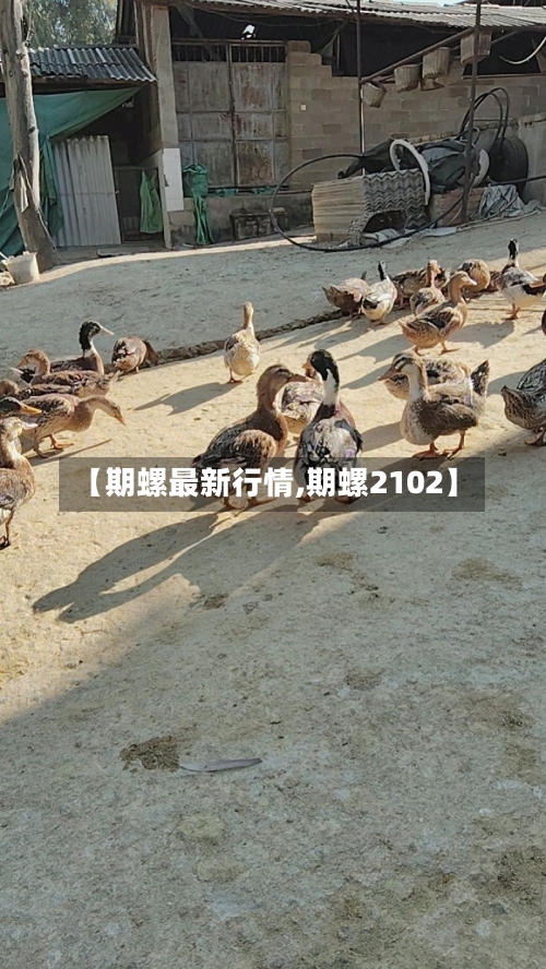 【期螺最新行情,期螺2102】-第2张图片