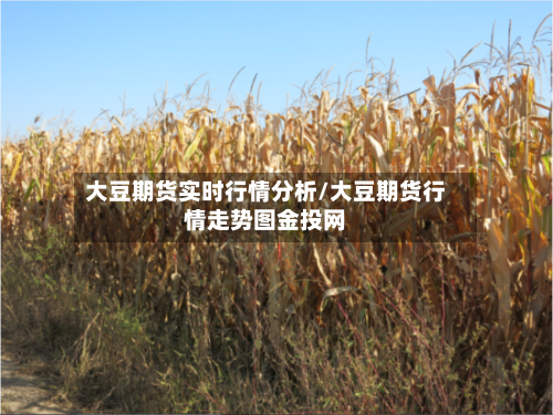 大豆期货实时行情分析/大豆期货行情走势图金投网-第3张图片