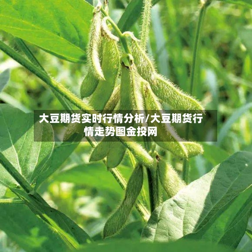 大豆期货实时行情分析/大豆期货行情走势图金投网