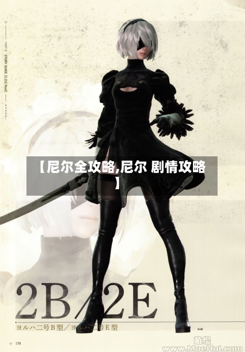 【尼尔全攻略,尼尔 剧情攻略】-第2张图片