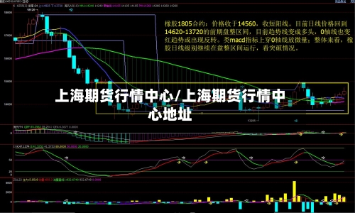 上海期货行情中心/上海期货行情中心地址-第2张图片
