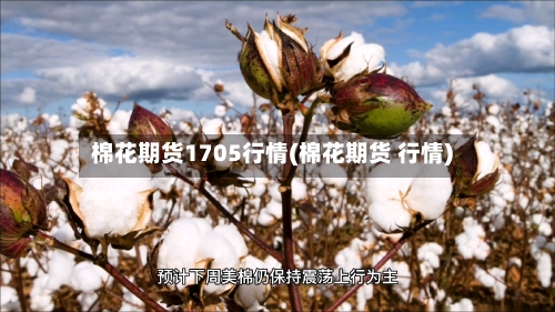 棉花期货1705行情(棉花期货 行情)-第1张图片