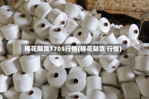 棉花期货1705行情(棉花期货 行情)-第2张图片