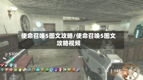 使命召唤5图文攻略/使命召唤5图文攻略视频-第2张图片