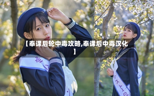 【奉课后轮中毒攻略,奉课后中毒汉化】