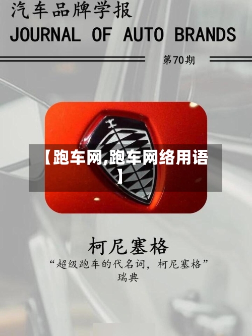 【跑车网,跑车网络用语】