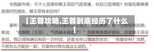 【王蓉攻略,王蓉到底经历了什么】