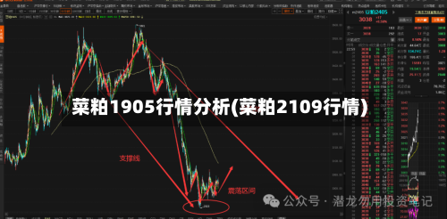 菜粕1905行情分析(菜粕2109行情)-第3张图片
